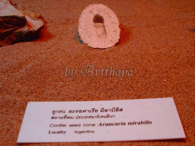 Museum59.JPG
